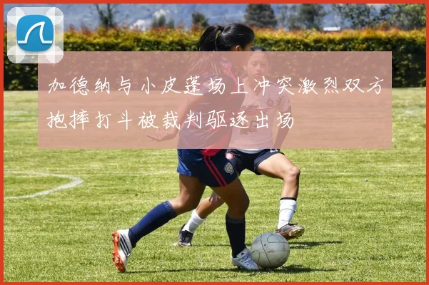 加德纳与小皮蓬场上冲突激烈双方抱摔打斗被裁判驱逐出场