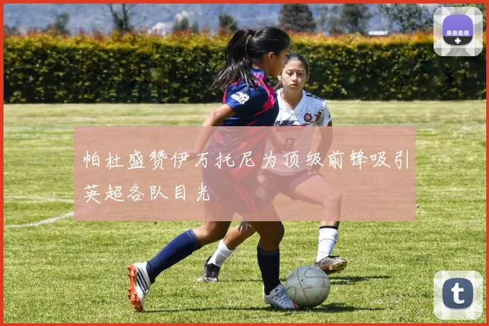 帕杜盛赞伊万托尼为顶级前锋吸引英超各队目光