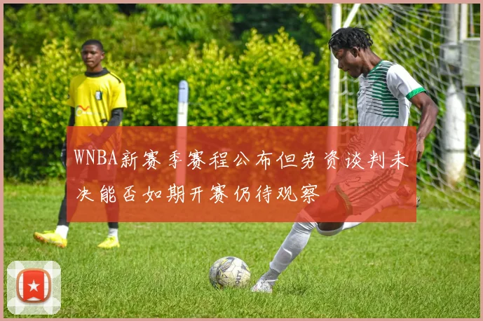 WNBA新赛季赛程公布但劳资谈判未决能否如期开赛仍待观察