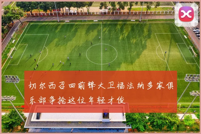 切尔西召回前锋大卫福法纳多家俱乐部争抢这位年轻才俊